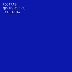 #0C17AB - Torea Bay Color Image